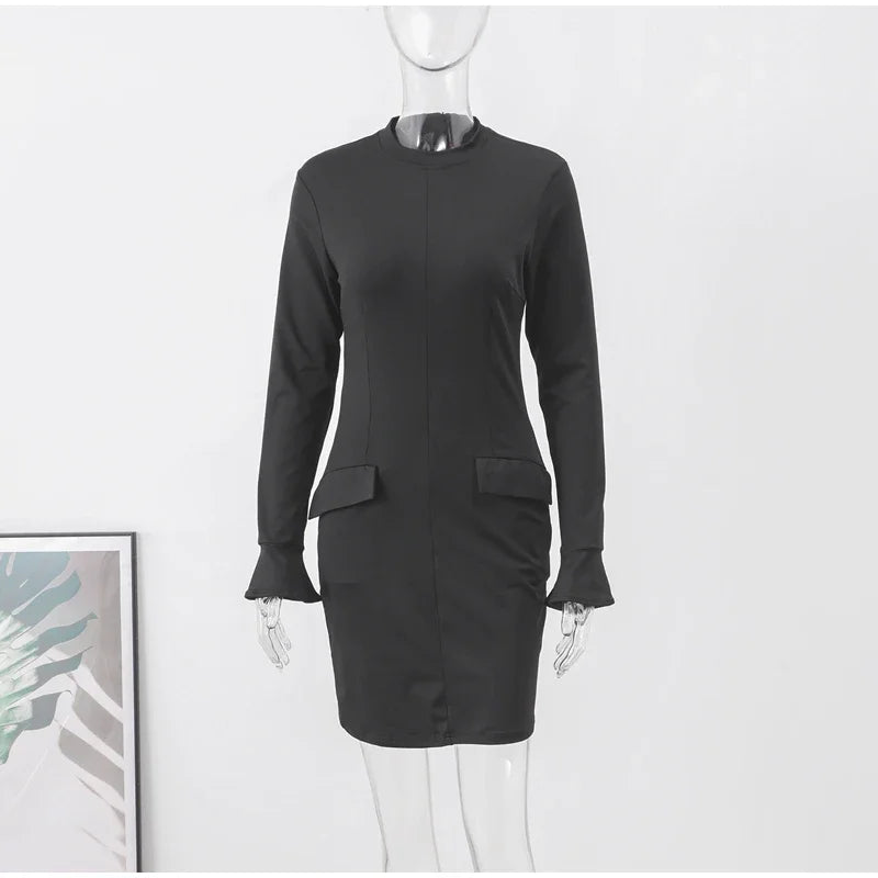 Elegant Long Sleeve Dress