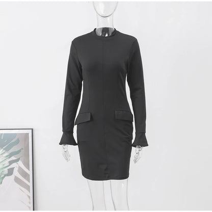 Elegant Long Sleeve Dress
