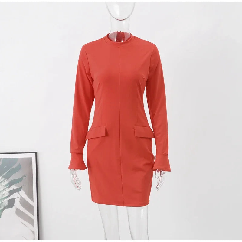 Elegant Long Sleeve Dress