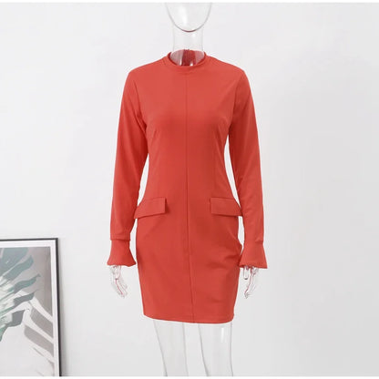 Elegant Long Sleeve Dress