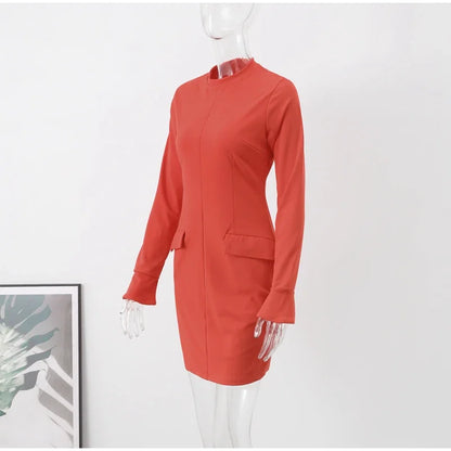 Elegant Long Sleeve Dress