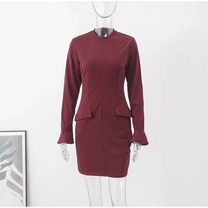 Elegant Long Sleeve Dress
