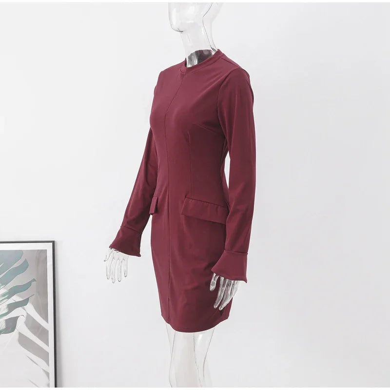 Elegant Long Sleeve Dress