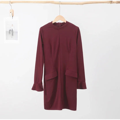 Elegant Long Sleeve Dress