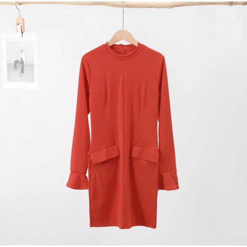 Elegant Long Sleeve Dress