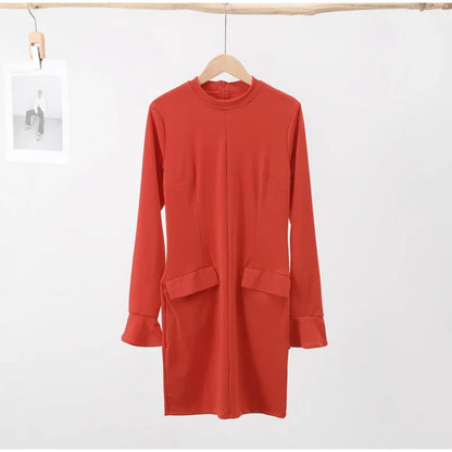 Elegant Long Sleeve Dress