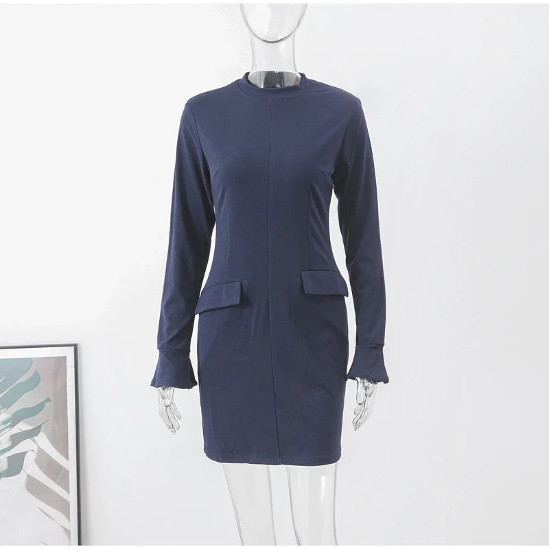 Elegant Long Sleeve Dress