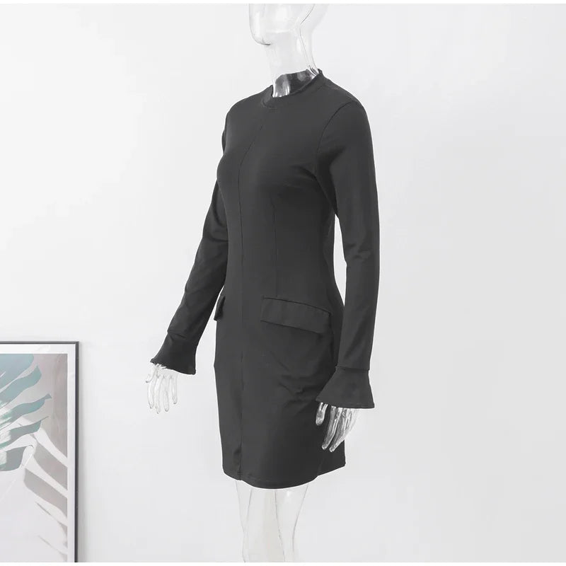 Elegant Long Sleeve Dress