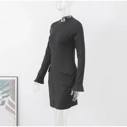 Elegant Long Sleeve Dress