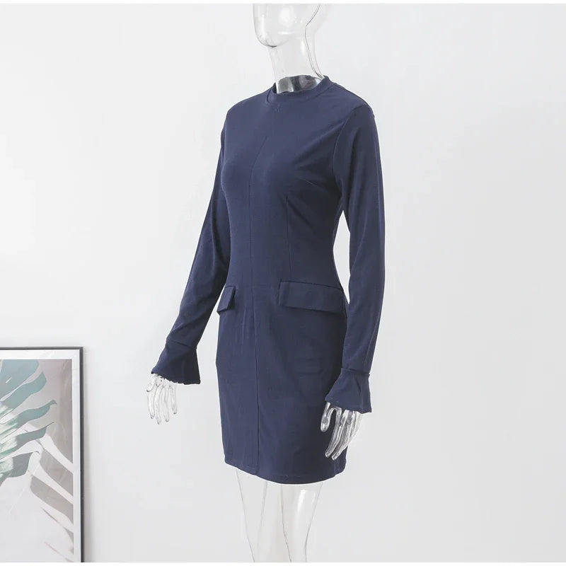 Elegant Long Sleeve Dress